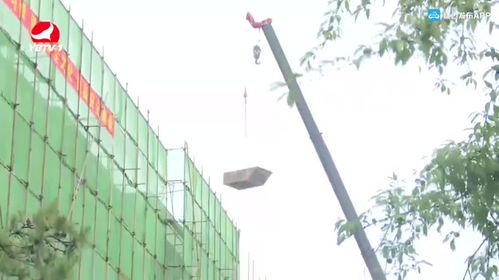 長(zhǎng)春花開 街上添彩——延吉市加快推進(jìn)精品街路景觀提升工程